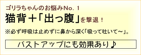 エクササイズ