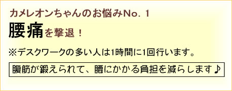 エクササイズ