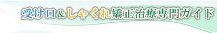 LinkIcon